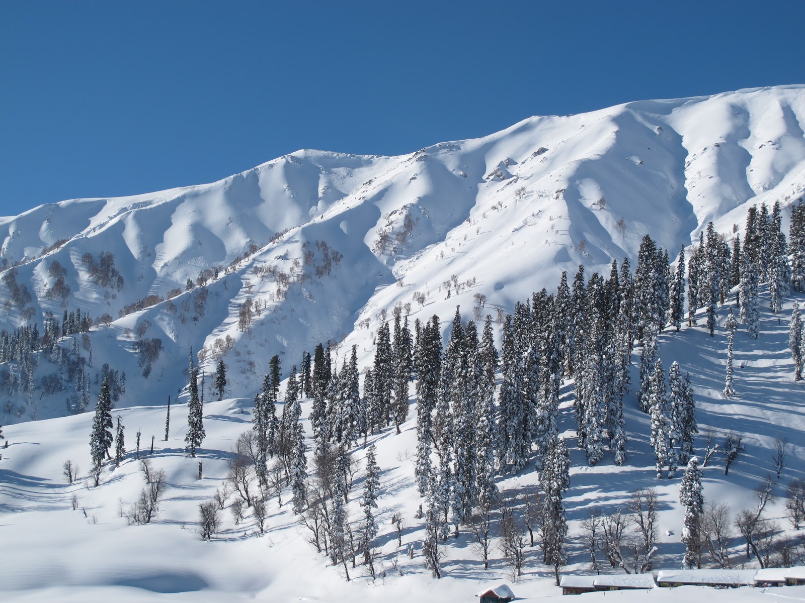 Gulmarg